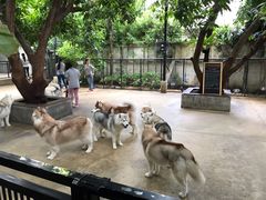 -TrueLove @ Neverland (Husky Cafe)