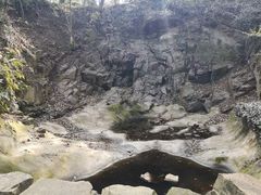 -上海佘山国家森林公园天马山园