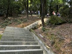 -火炉山森林公园