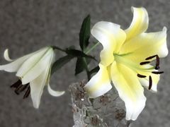 百合花开-同得兴面馆.苏式面.三虾面(园区店)