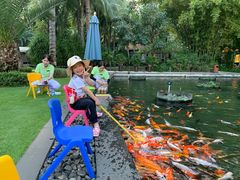 -三亚湾海居铂尔曼度假酒店