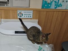 -瑞派宠物医院·24h·骨外科·皮肤科·全科宠物医疗转诊中心(沈阳浑南院)