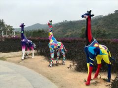 -清远熹乐谷温泉度假酒店