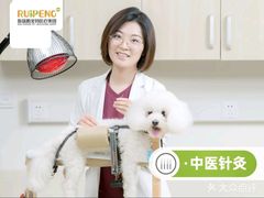 -美联众合爱康动物医院•复杂内科•肿瘤科•牙科•腔镜诊疗中心
