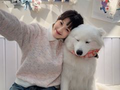 -汪说·狗咖·拼豆·宠物周边DIY(旺城大厦店)
