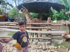 -泉州海丝野生动物世界