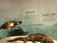 -中国湿地博物馆