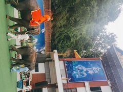 -西双版纳原始森林公园