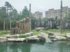 -上海野生动物园
