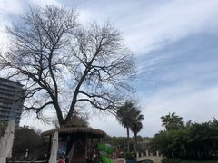 -绿城千岛湖喜来登度假酒店