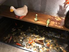 -四季民福烤鸭店(前门店)