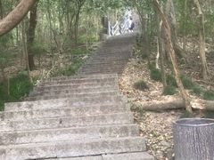 -紫金山山顶公园