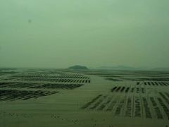 -北岐滩涂