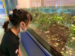 -上海昆虫博物馆