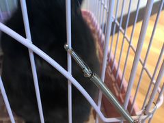 -藦茜花园宠物主题亲子互动体验馆(国顺东路店)