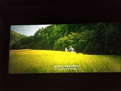 -博纳国际影城(合肥银泰中心店)