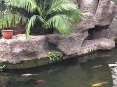 -汤山翠谷生态餐厅