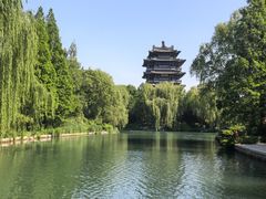 -山东政协大厦维景大酒店