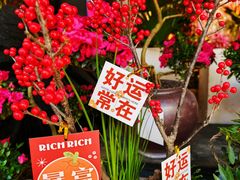 -溪岸路花鸟市场