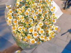 -循礼门鲜花花市(武汉循礼门店)