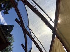 -怀托摩萤火虫洞