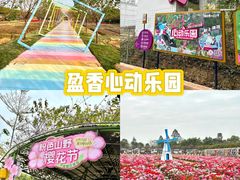 -盈香心动乐园