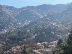 -北京鹫峰国家森林公园