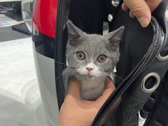 -派特宠物医院(圆融广场店)