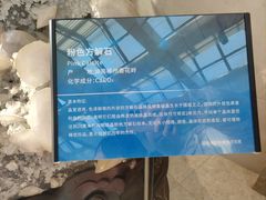 -湖南省地质博物馆