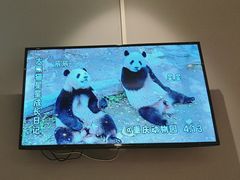 -眉州东坡(石景山店)