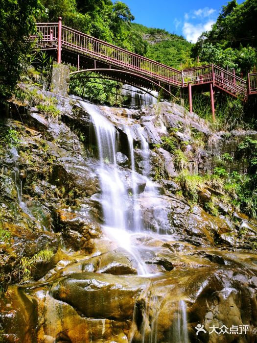 莲花山森林公园