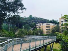 -广州雕塑公园