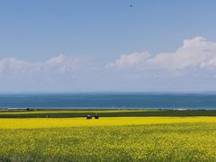 -青海湖国家重点风景名胜区