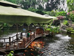 -桂湖森林公园