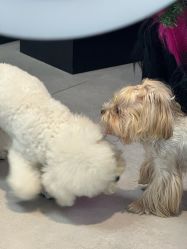 -Pink You美甲洗眉纹绣定制中心