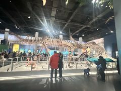 -国家自然博物馆