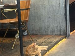 -肥仔文澳门猪骨煲(南京西路店)