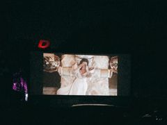 -枫花园汽车电影院(朝阳公园店)