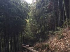 -藏龙百瀑风景区