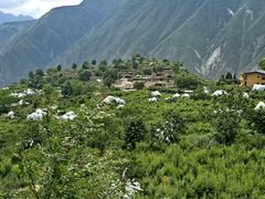 -萝卜寨羌文化生态旅游区
