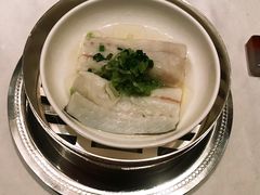 -福1015(愚园路店)