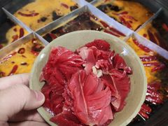 -肥龙火锅(南坪店)