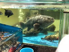 -聚福宝合苑食府(南头镇店)