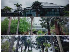 -中国科学院华南植物园