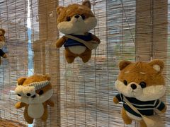 -南京Hallo宠物乐园·哈罗犬舍·柴犬繁育基地