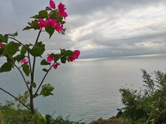 -东澳岛