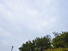 -小麦岛公园