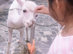 -上海大自然野生昆虫馆(东方明珠·爬宠昆虫探索中心)