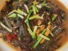 霉菜跳跳鱼-诺鲜酒店(月河店)
