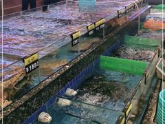 -聚福宝合苑食府(南头镇店)